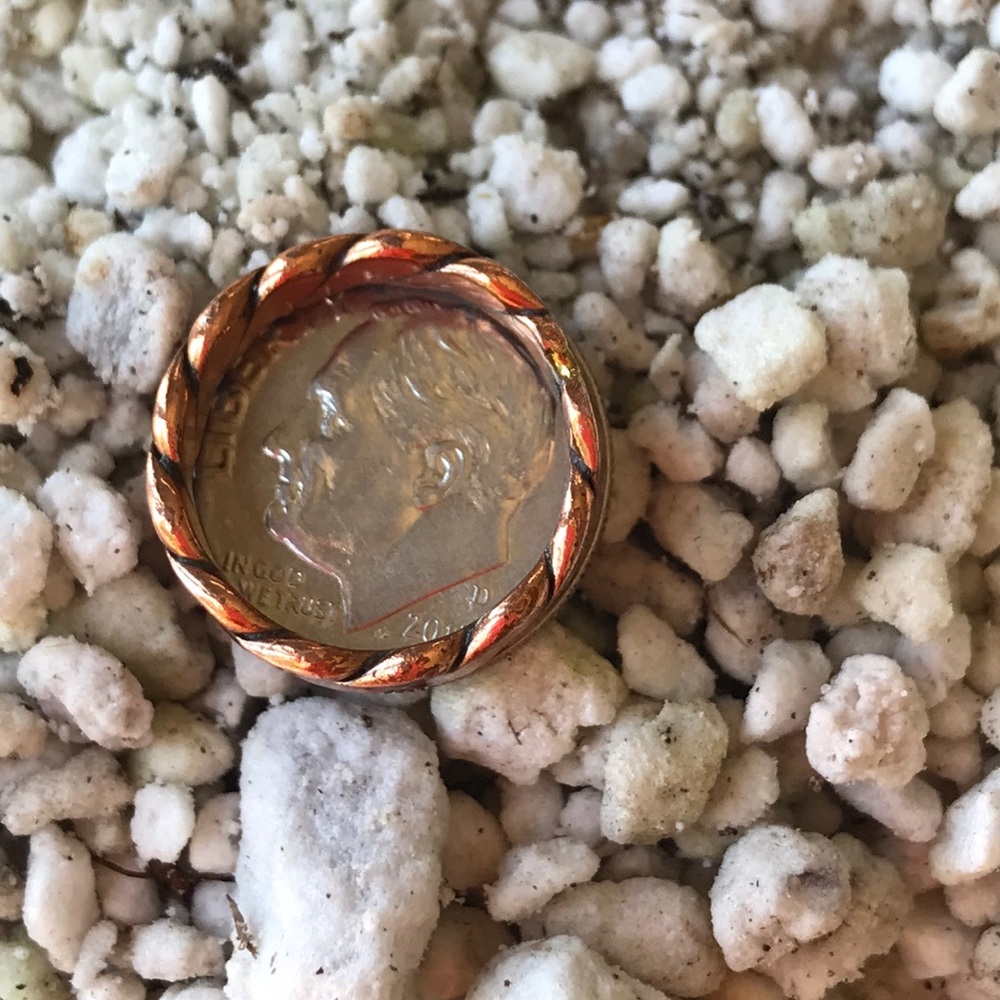 Copper Ring - Picture 4 of 7